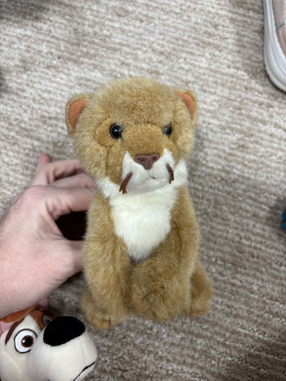Ty Beanies Manes Lion
